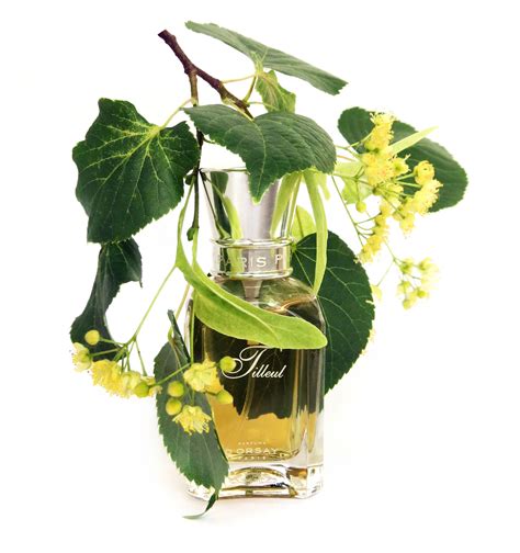 linden tree perfume.